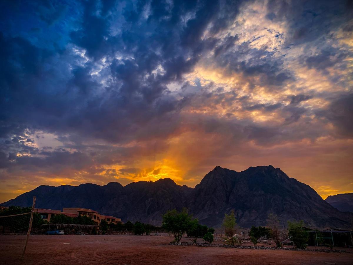 Sakratah Camp - Eco Friendly Hotel Taba Exterior foto